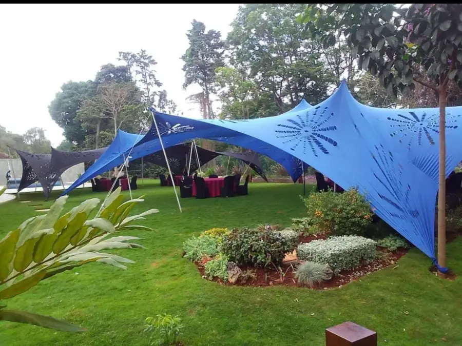 Bright blue stretch tent with artistic cutouts set up in a garden, with landscaping in the foreground.