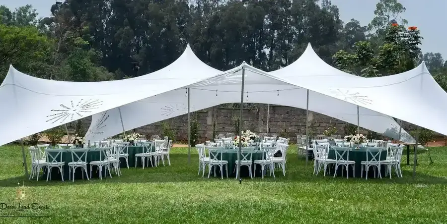 Large white stretch tent with decorative cutouts set up on a green lawn, covering round tables with